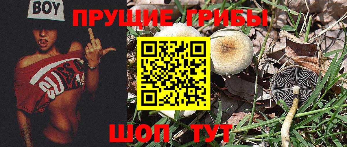 Псилоцибиновые грибы ЛСД Соликамск